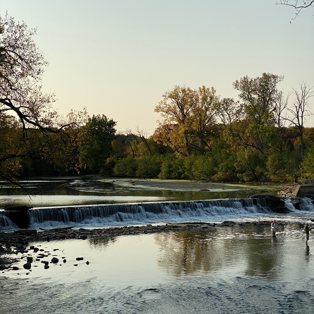 Meet your Posher, Ann - Picture 2 of 2